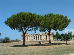 Dscfpaestum4