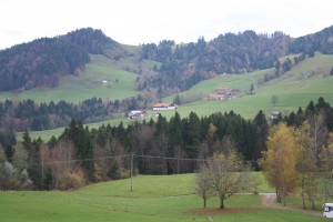IMG_0729