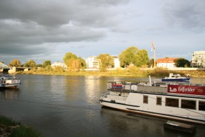 IMG_2317